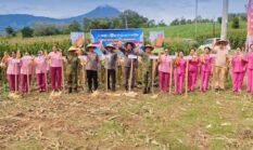 Dukung Swasembada Pangan, Wakil Bupati Karo Hadiri Panen Raya Jagung
