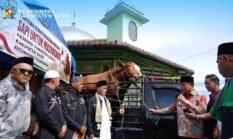 Bupati Karo Serahkan Hewan Qurban Bantuan Presiden RI untuk Masyarakat di Masjid AL MUNAWARAH
