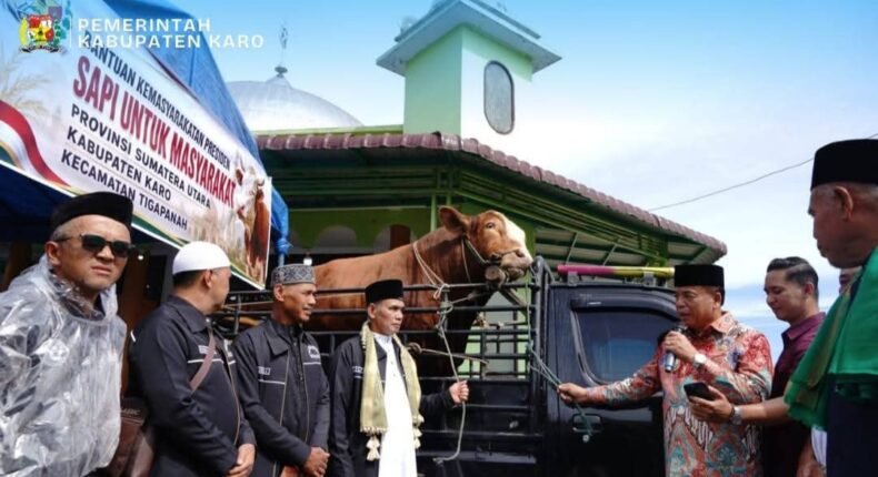 foto slider headline