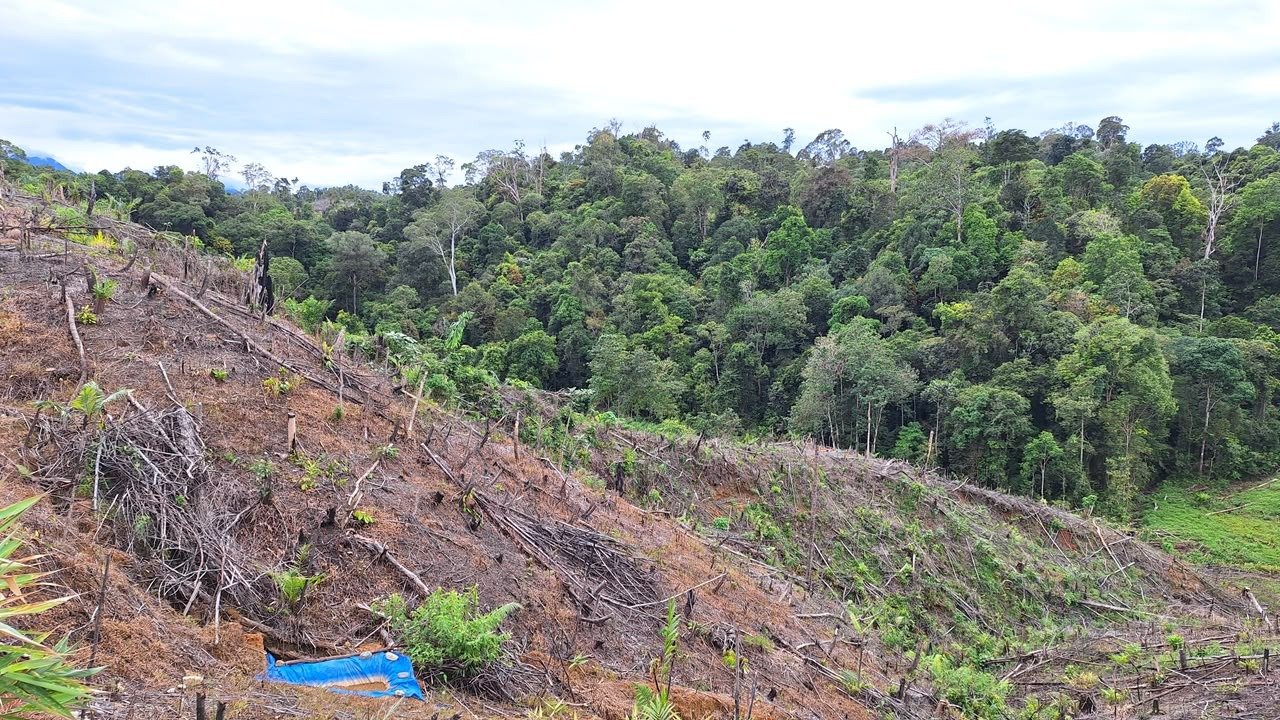 IMG-20261030-WA0001